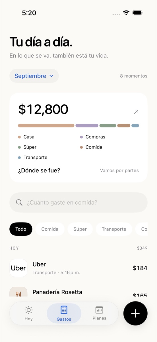 Vista de gastos de auremi con datos de ejemplo